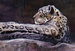 "Snow Leopard"