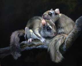 Thumbnail image link for "The Layovers" (flying squirrels). 